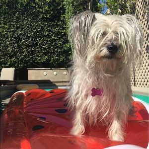 Meet your Posher, Robin