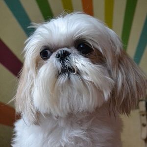 Meet your Posher, Glenda