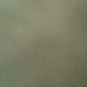 Meet your Posher, Kaiden