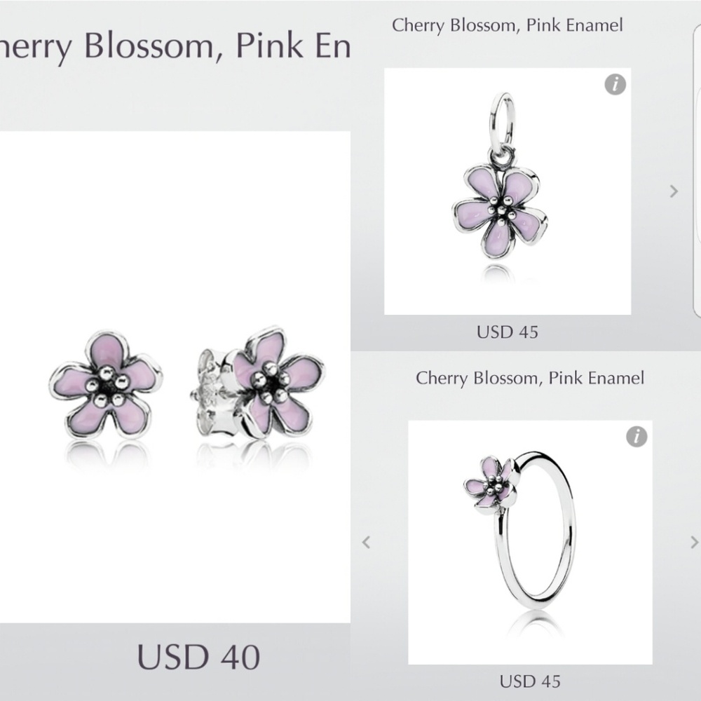 Authentic Pandora Set, Cherry Blossom Collection