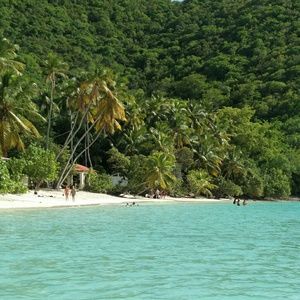 Meet your Posher, Jolene