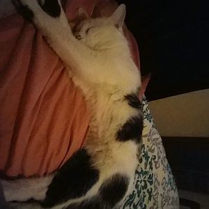 Meet your Posher, Laura