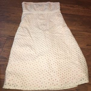 Boston Proper Cream/Pink silk lace dress