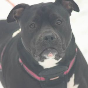 Meet your Posher, Derrick