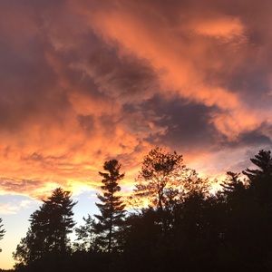 Meet your Posher, Arshia