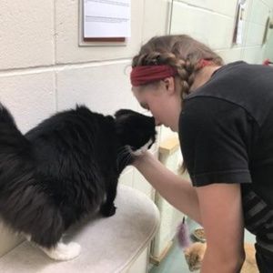 Meet your Posher, Ellsa