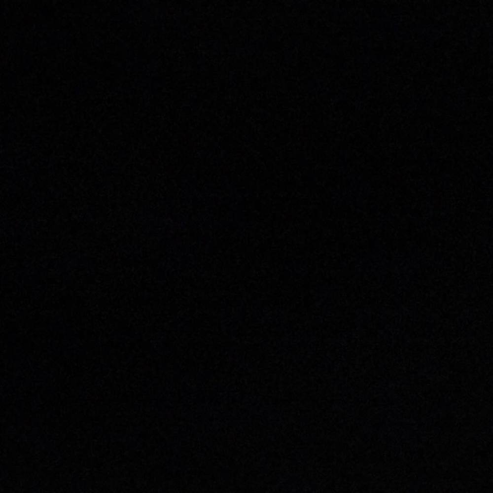 Meet your Posher, Reyna