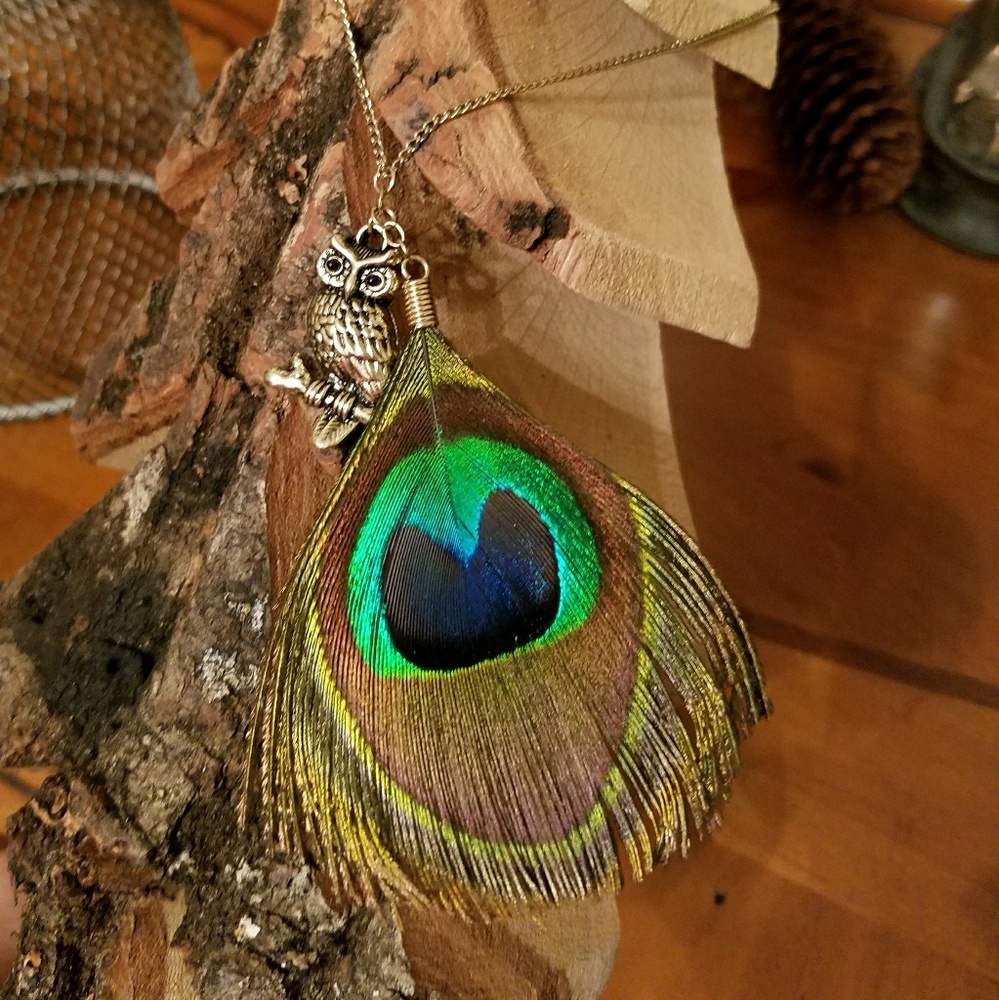 Peacock Feather Owl Charm Necklace