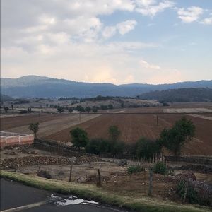 Meet your Posher, Jasmin