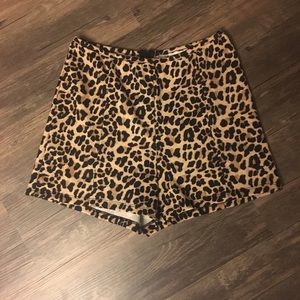 Pink Cheetah High Waisted Shorts 🐆⚡️