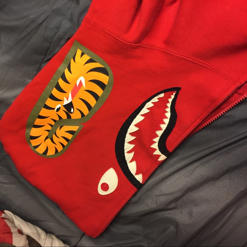 The Bathing Ape Hoodie