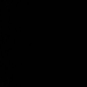 Meet your Posher, Naomi