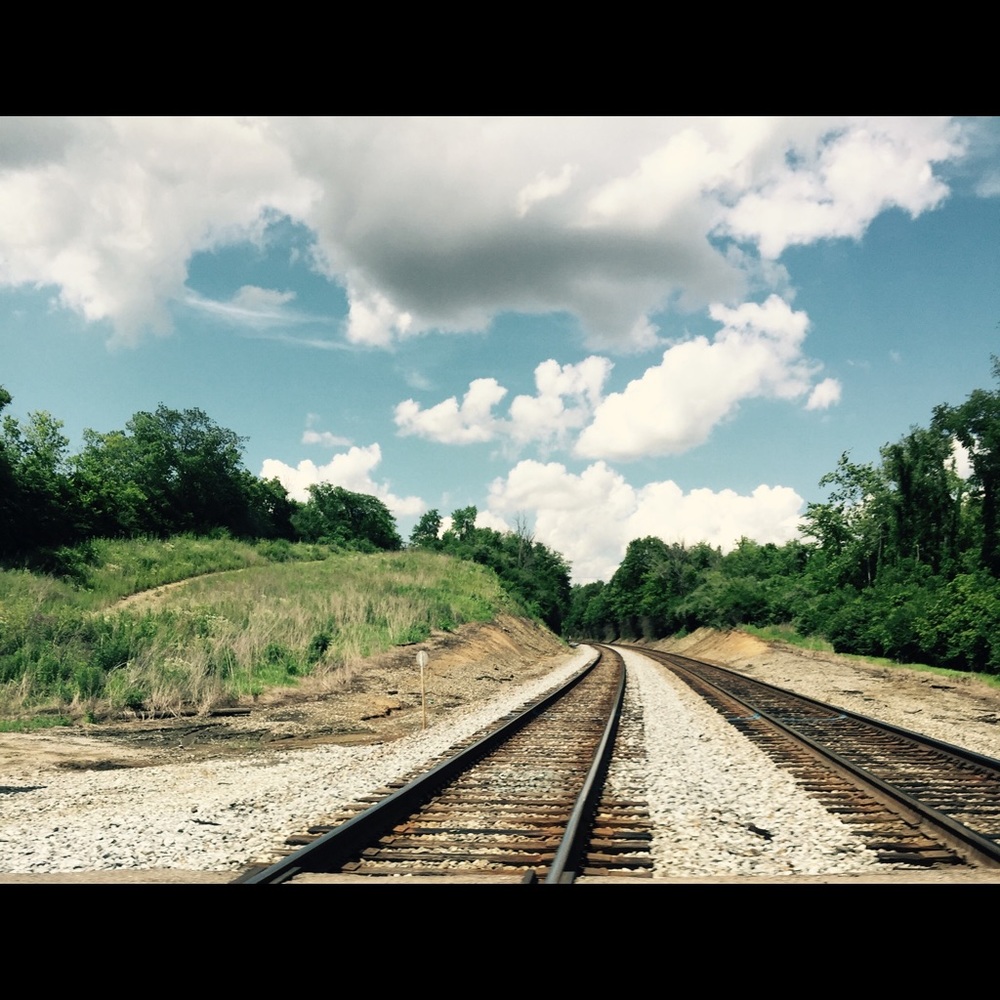 Meet your Posher, Izzy