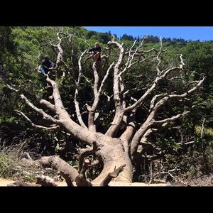 Meet your Posher, Shauna