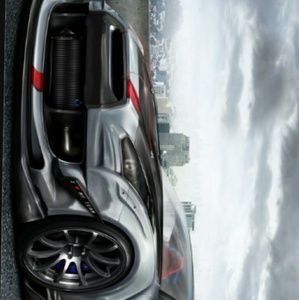 Meet your Posher, Sammy