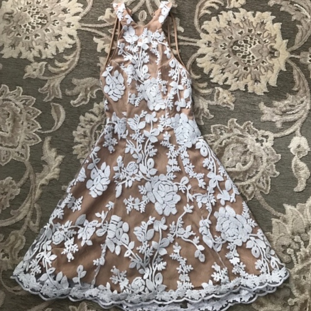 Dress the Population Abbie Dress
