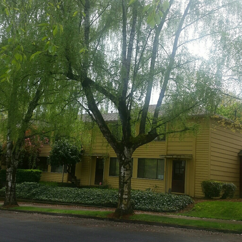 Meet your Posher, Elise