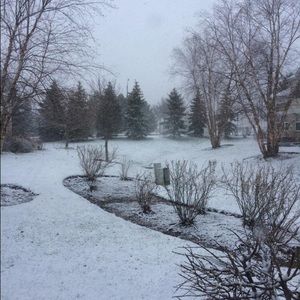 Meet your Posher, Daxesh