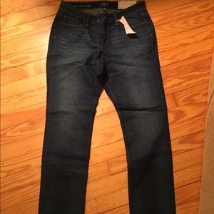Ann Taylor Loft Jeans