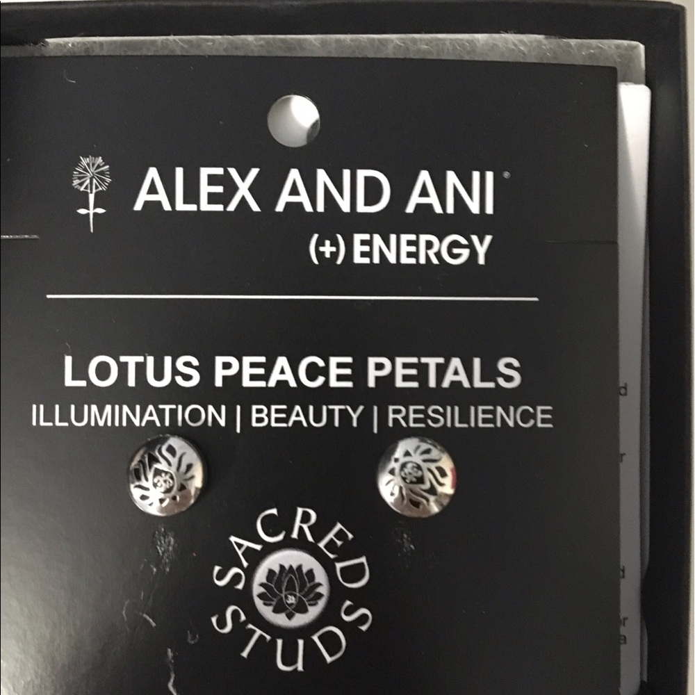 Alex and Ani earrings