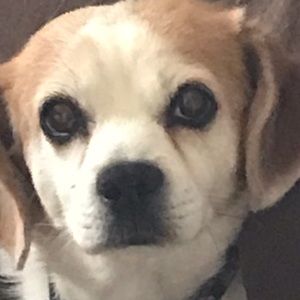 Meet your Posher, Kendal