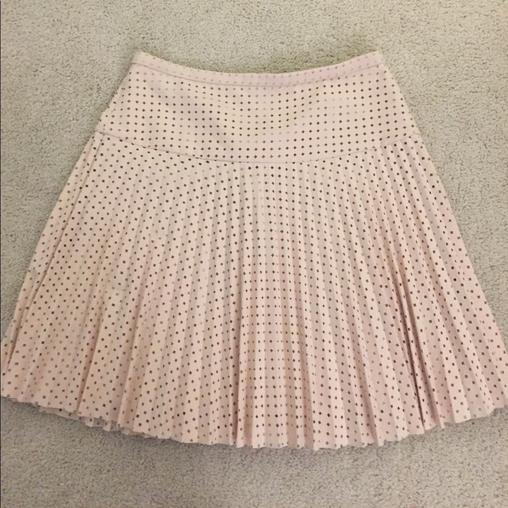 J Crew Skirt