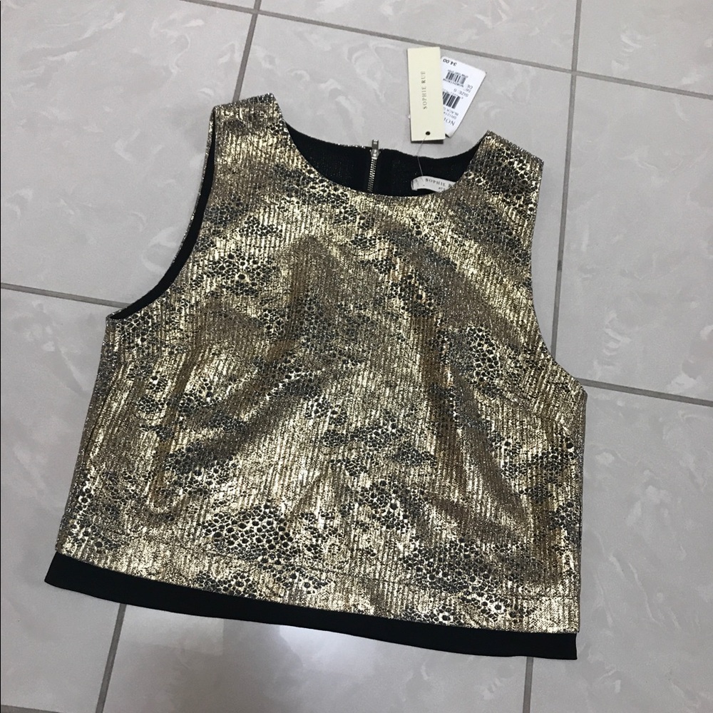 Shiny gold crop top with sheer black trim