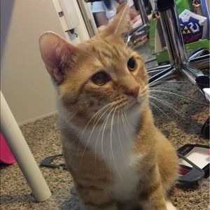 Meet your Posher, Kaytee