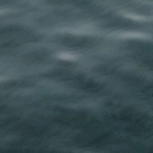 Meet your Posher, Garret