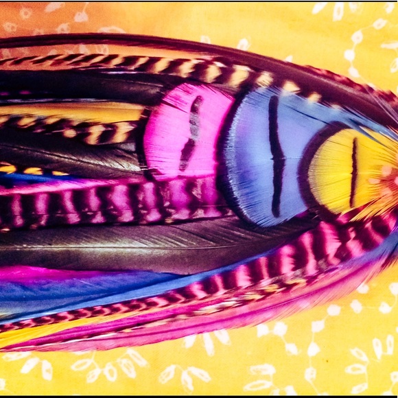 STUNNING SINGLE FEATHER  EARRING! - Picture 4 of 6