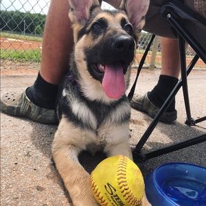 Meet your Posher, Casey