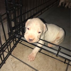 Meet your Posher, Sheyleen