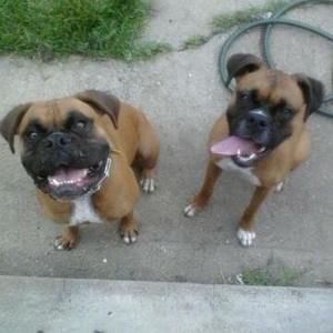 Meet your Posher, Kel