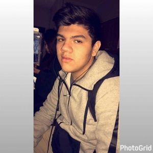 Meet your Posher, Hector