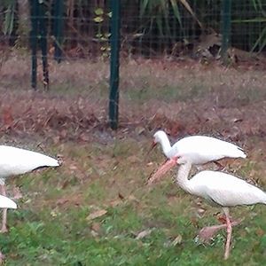 Meet your Posher, Mindy