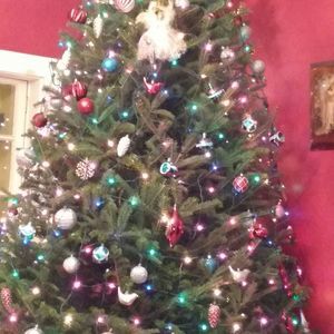 Meet your Posher, Nyoka