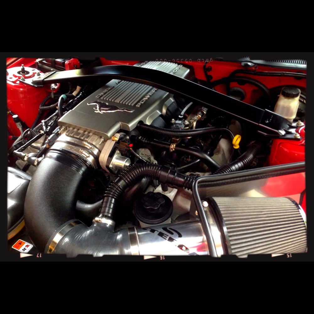 Meet your Posher, William