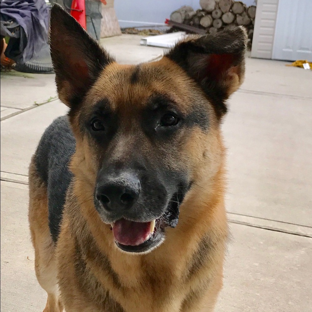 Meet your Posher, Marybeth