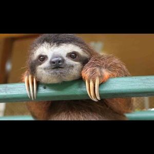 Meet your Posher, Seth