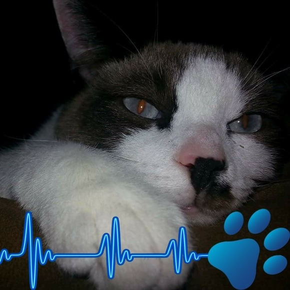 Meet your Posher, LaToya - Picture 2 of 5