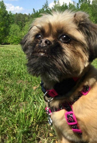 Meet your Posher, LaToya - Picture 4 of 5