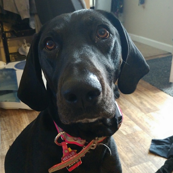 Meet your Posher, LaToya - Picture 5 of 5