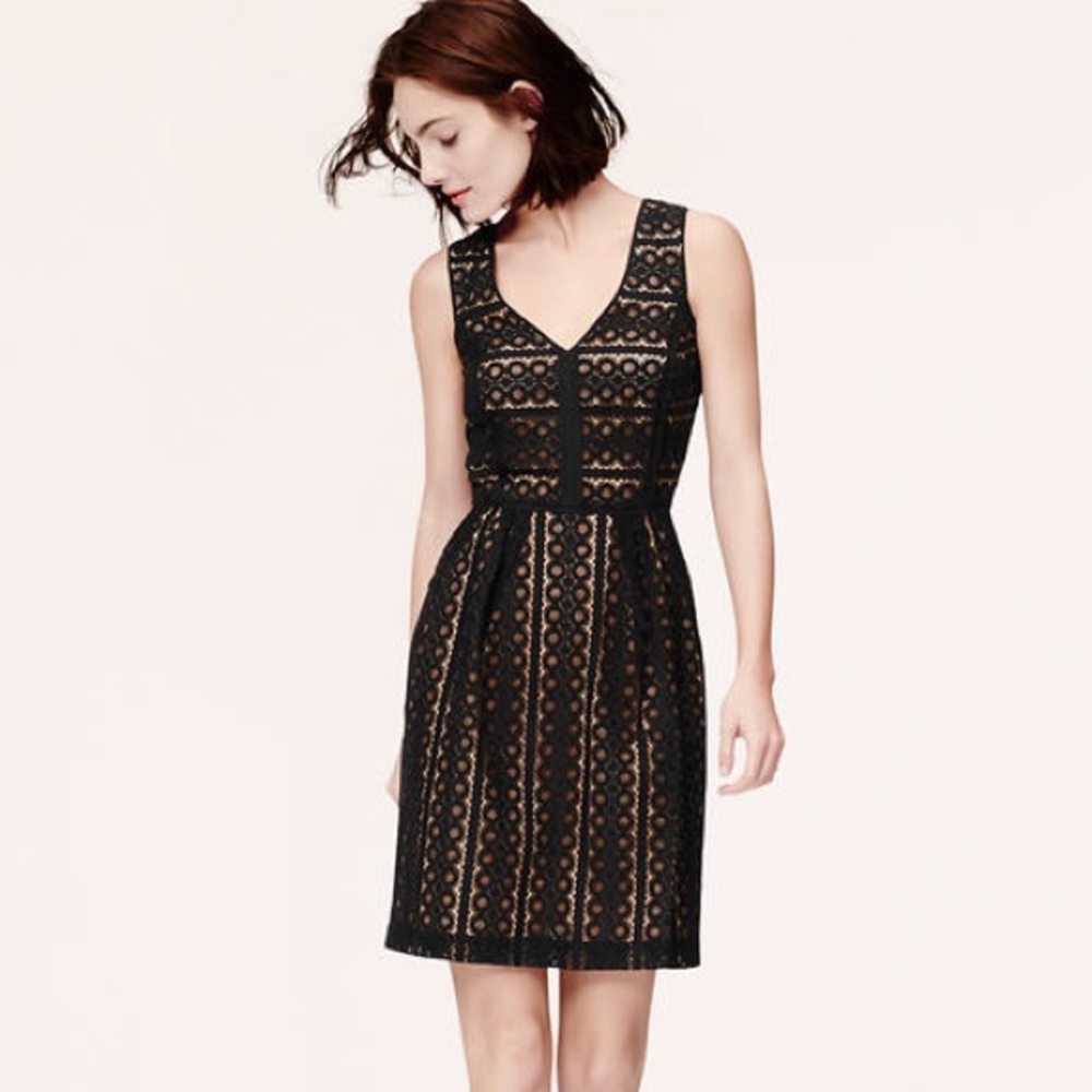 LOFT Geo Striped Lace Dress NWT