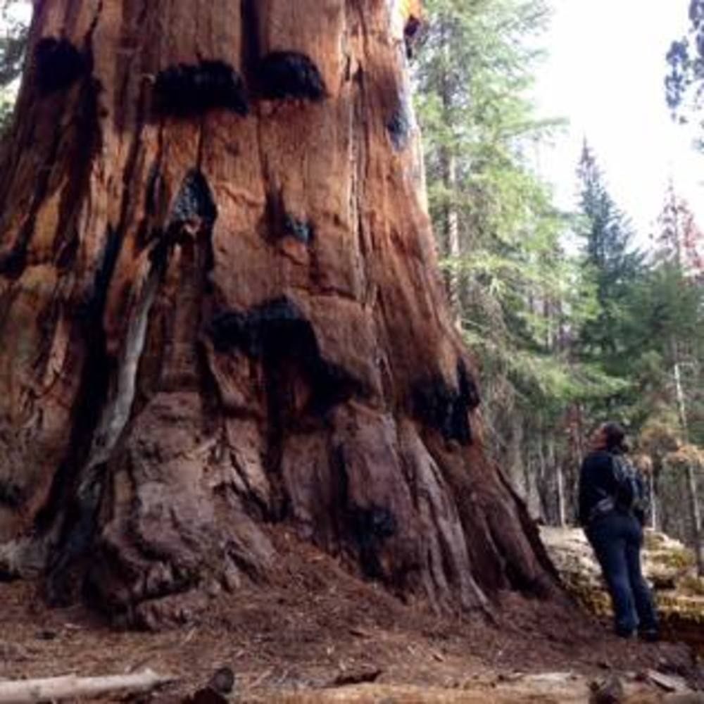 Meet your Posher, Nikki