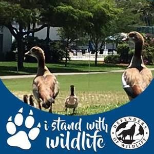 Meet your Posher, Carole