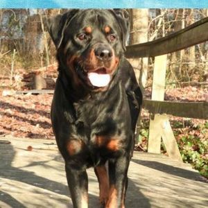 Meet your Posher, Patti