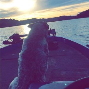 Meet your Posher, Heath