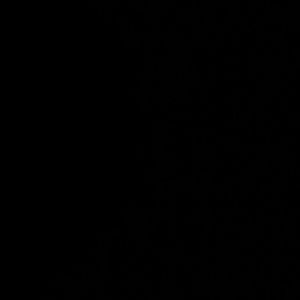 Meet your Posher, Jayden