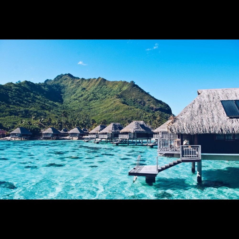 Meet your Posher, Hailey