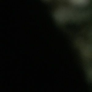 Meet your Posher, Kevon